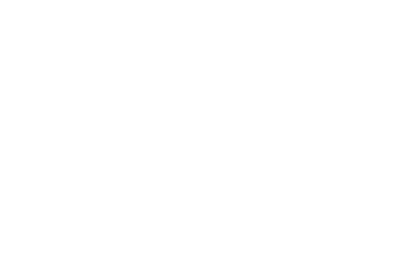 Sponsor